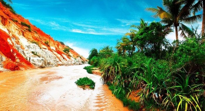 Ảnh slide minh họa 7